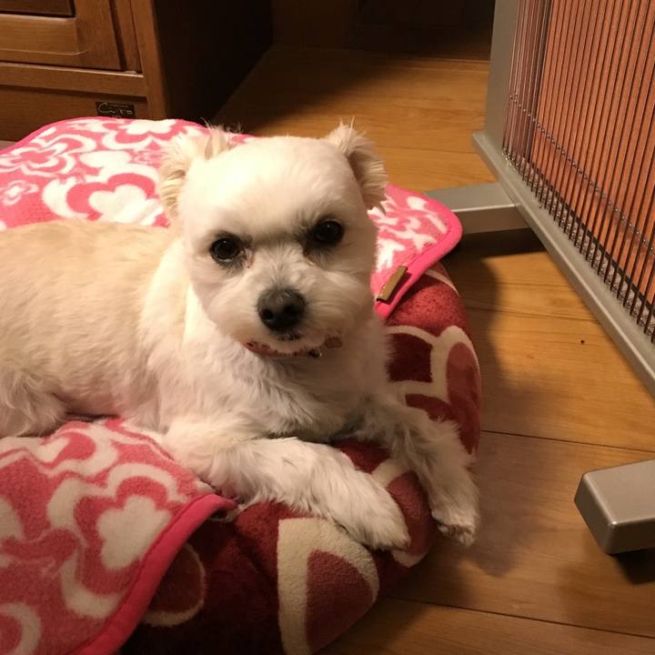 0c83ad34 11bb 4be1 812c 15f5e5a4f71b