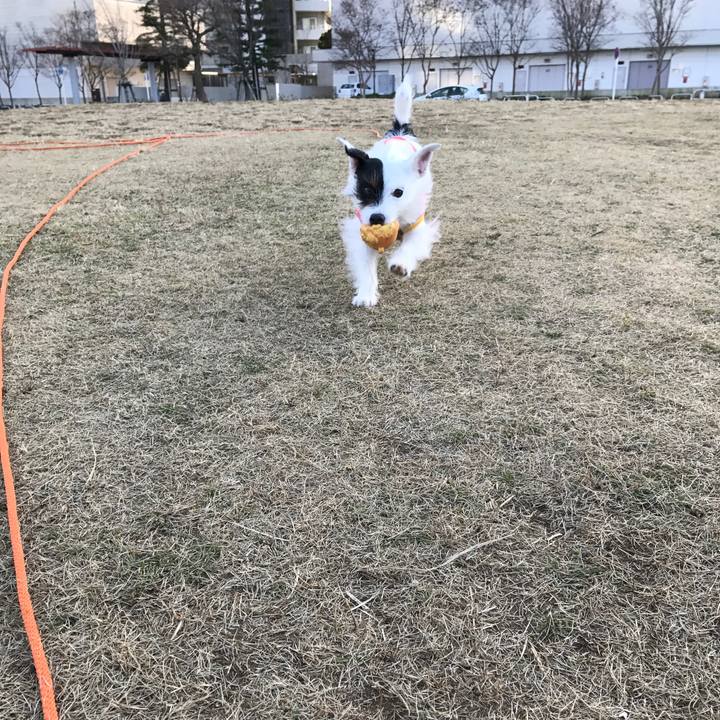 0c83c179 eb12 47df 9439 0901e8e2d36f