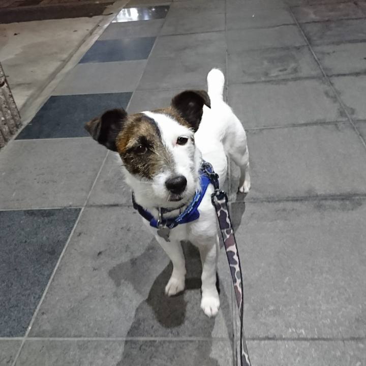 0c83d1df d4bb 4e9f ade1 82e7d231c584