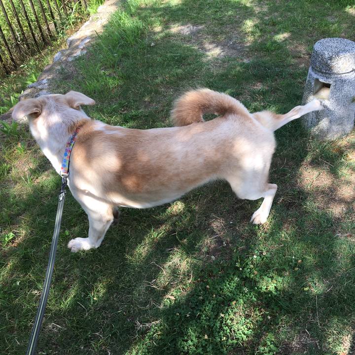 0c83d60e 7b6e 40e0 a728 36ff48a572d1