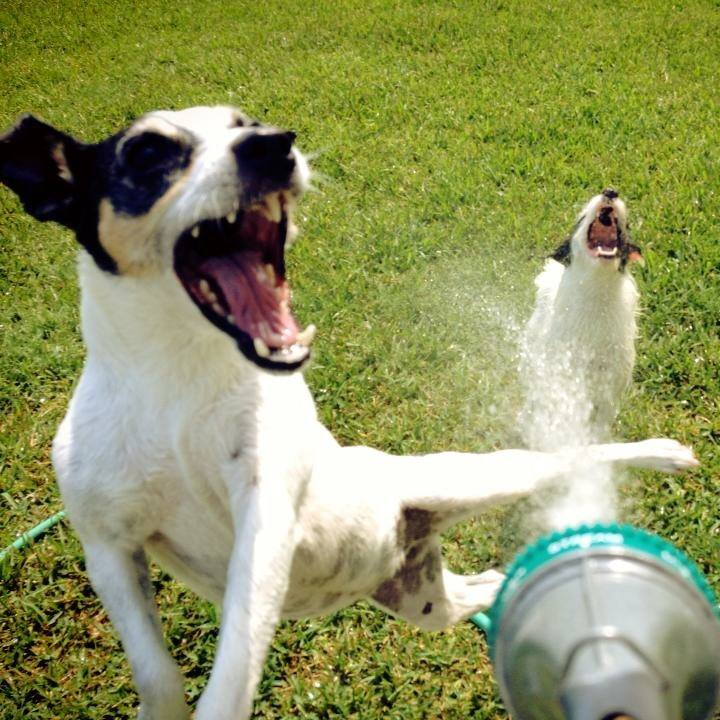 0c8473cd 7567 4011 a507 7364025154e7