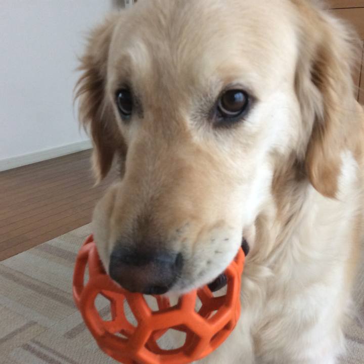 0c847f5b ea2d 4b79 864b b4b9ab216598