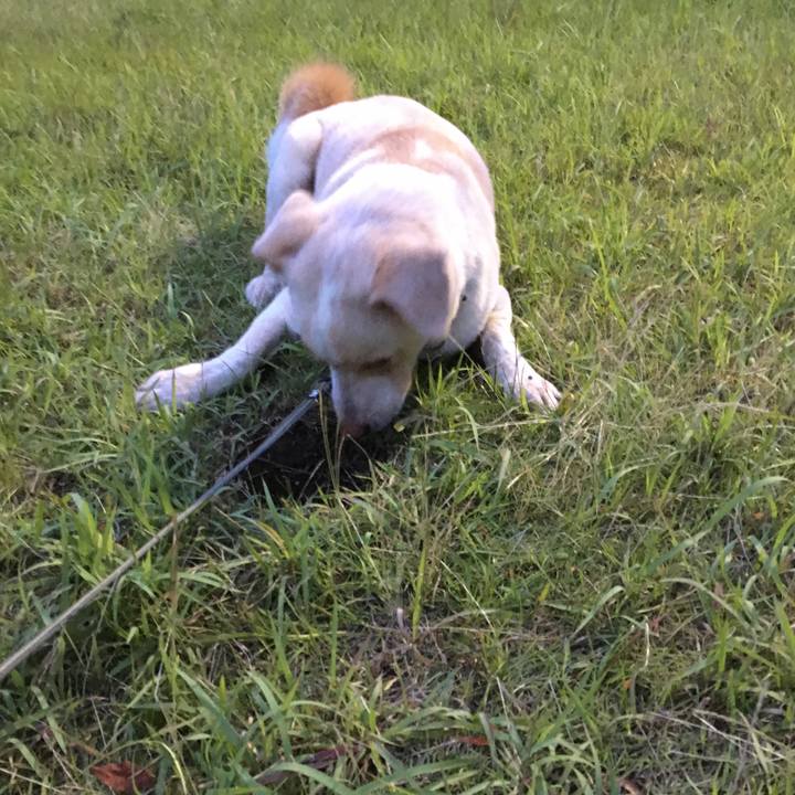 0c84beb3 fdeb 4522 a71e e25636805c1c