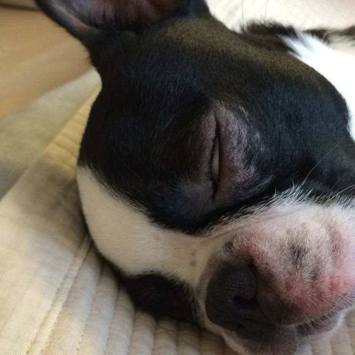 0c855f62 f3c7 4076 bd73 052bcd7a8868