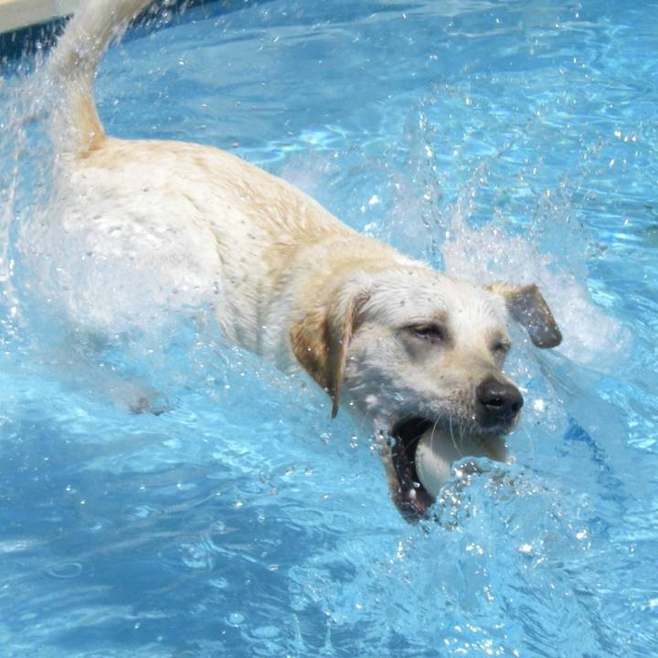 0c856d59 be67 46b3 a95d 4f28f5394113