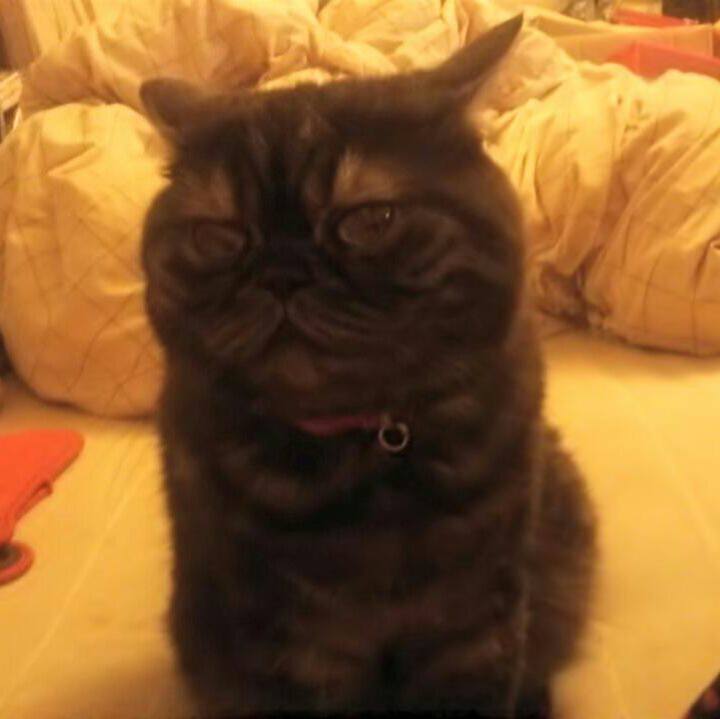 0c85b925 eedb 4da9 9bf2 b9ba0bd2c83e