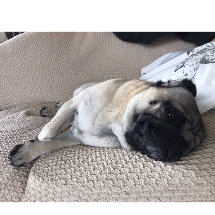 0c85cfa5 ed2c 4e2d b9c1 4fcff7cea337