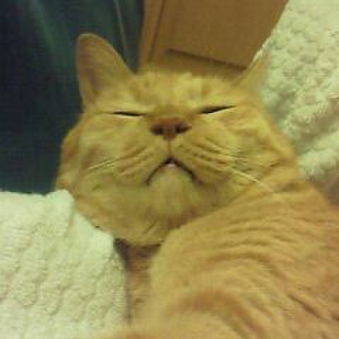 0c8611de 157e 4d34 a18f d95d1a3b37e9