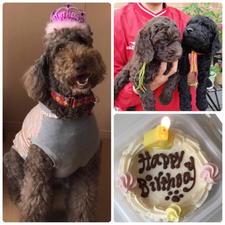 0c861b65 d001 4b3e 863a 4e3c02105ccf