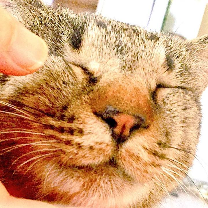 0c872ffe ba99 4c13 9117 79da637c0bdb