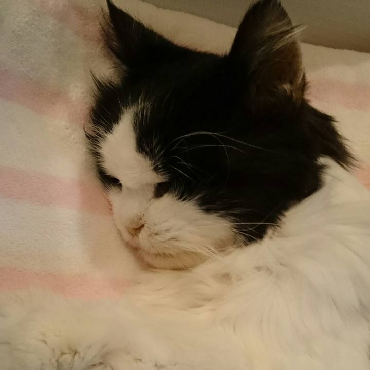 0c8750fe 3d9f 4bf0 87bf 6206c5b7fbda