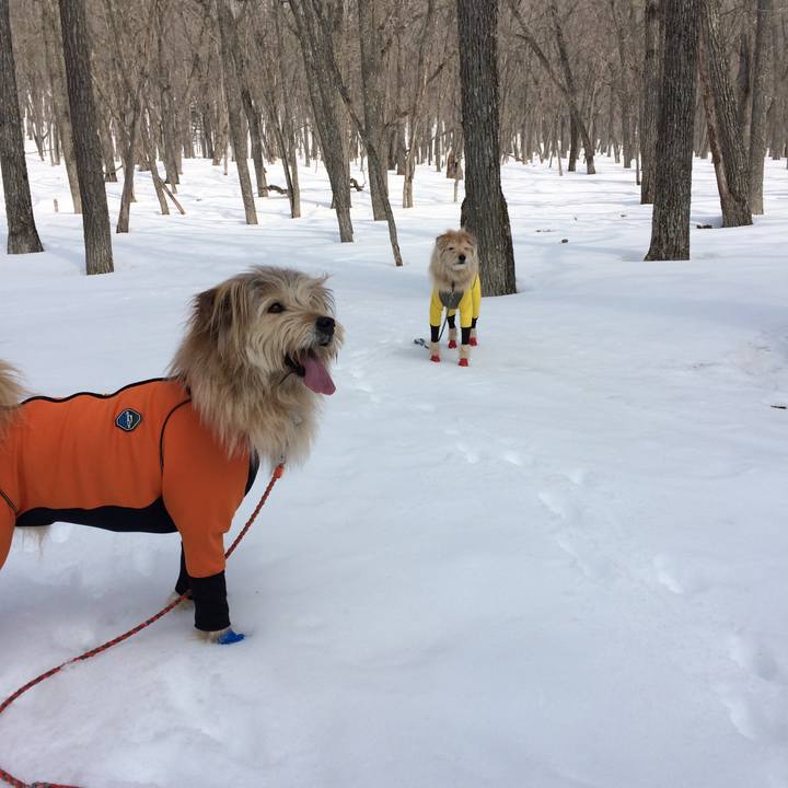 0c876b97 0124 4f70 b29e 2c08df90184d