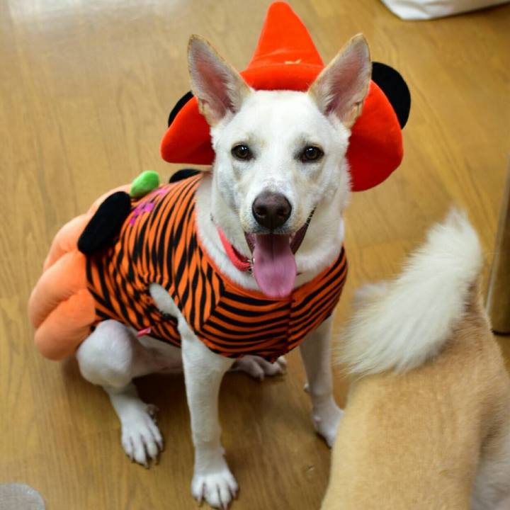 0c87c7f1 4637 4d8c a170 3128219781a9