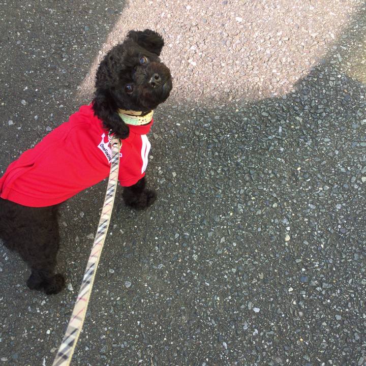 0c87f5d6 6aee 490b af44 4830433f010e