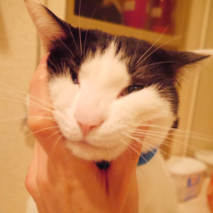 0c88a663 5b3e 473e 9555 3dc5b5cc0d5a