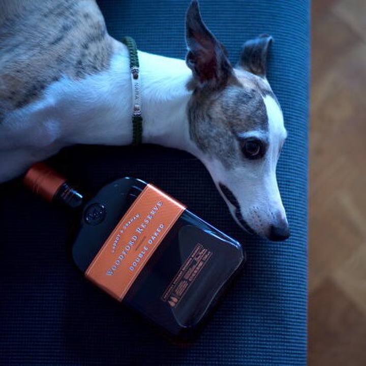 0c8adee8 e3aa 467b 8c4d d060015fd501