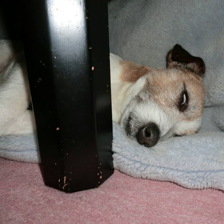 0c8b130a 1cb9 4a4b 8df5 fdb581835245