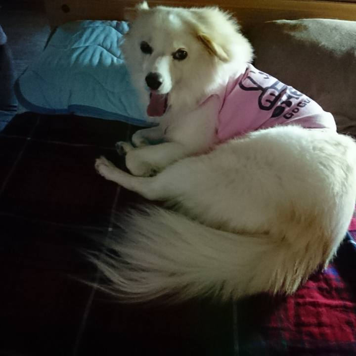 0c8b17ef 4170 4b07 a56e 2bb0576d9797