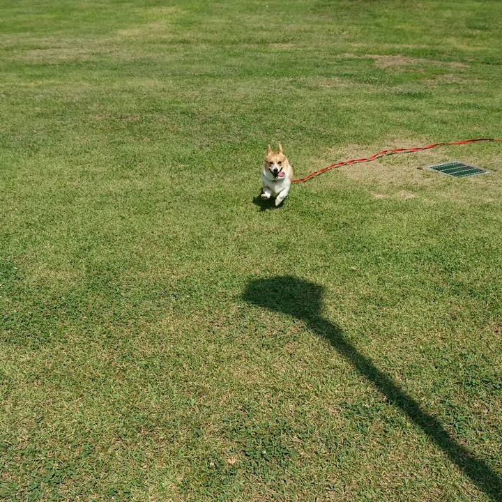 0c8bd7bb a49c 4e30 86a2 448a777e8ed2