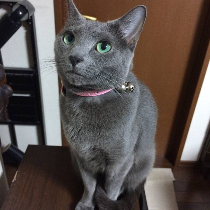 0c8c1a5a 4a46 4151 be73 0dec61c4fecd