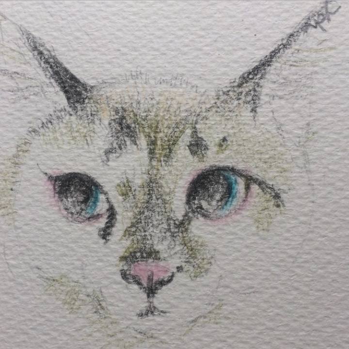 0c8c2a05 d575 4ccf b745 27567b764358