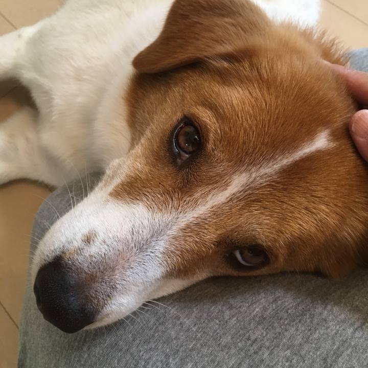 0c8d4c9c c5fe 4822 bef5 ad3cda829619