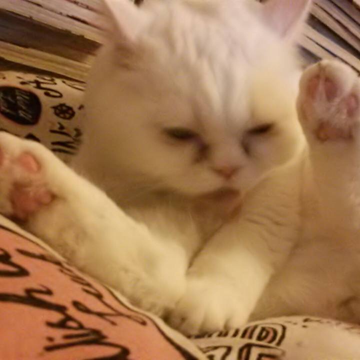 0c8d4e9a 37c0 4e4c a728 f631f47fb6c8