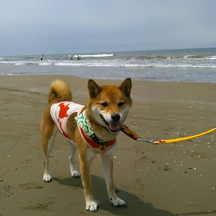 0c8d953f b2cf 4eea 8e5b d6e5718364dc