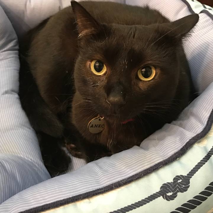 0c8dc874 b481 4bc1 9117 258db7d5a1e7