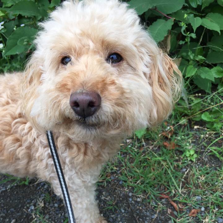 0c8ef773 7d21 4e33 a968 527fc088cc67