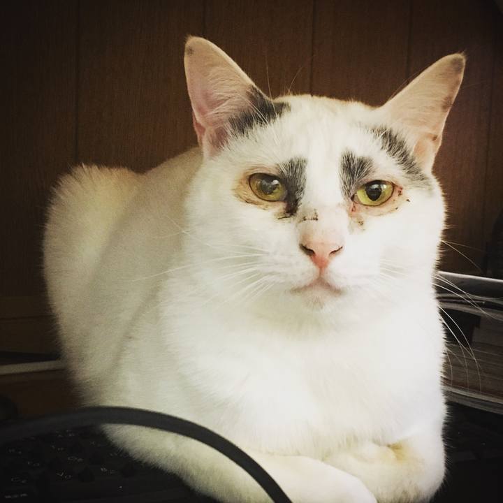 0c8f9a21 adc0 4523 8c38 36a46c604ecf