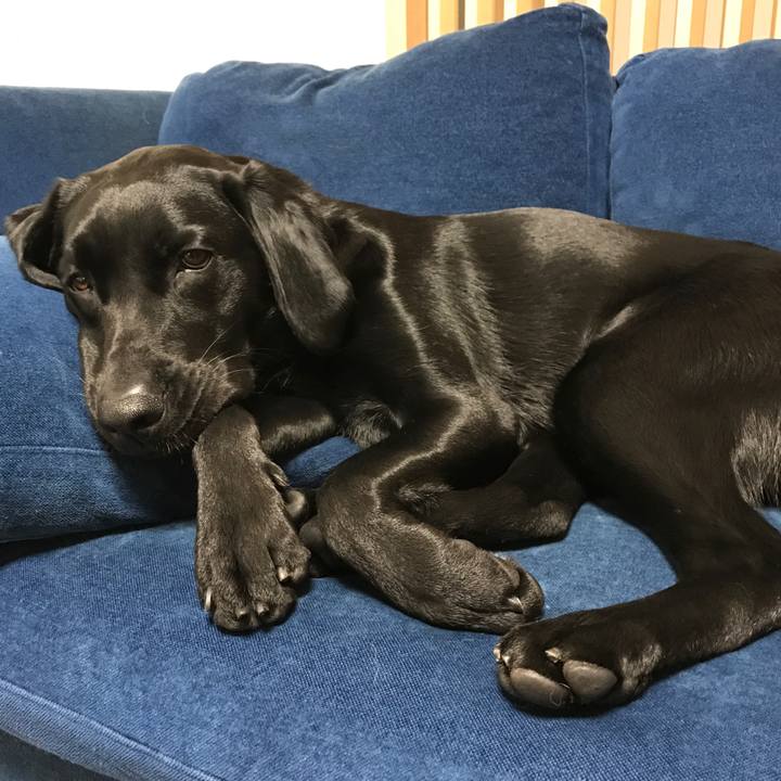 0c8fd9c3 6873 4232 83cb 42c34633f18f