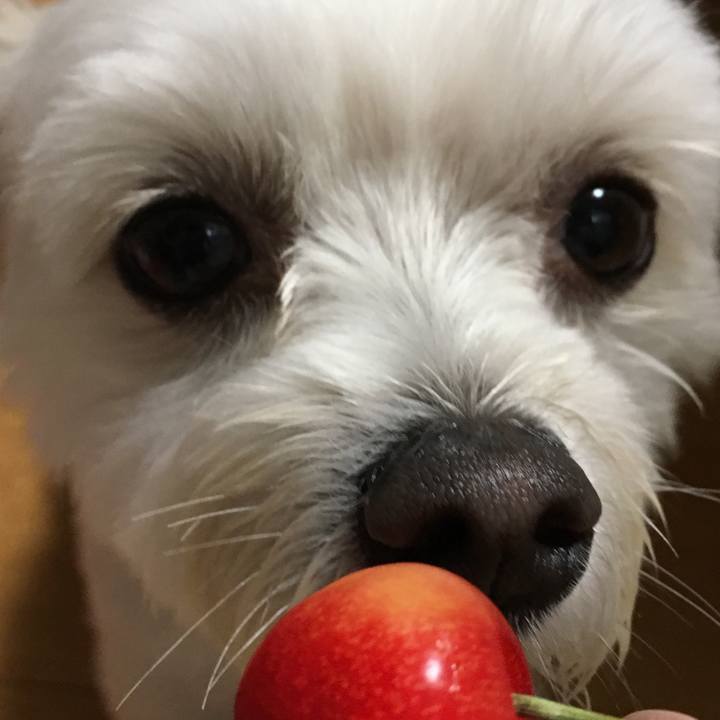 0c9086b0 a6eb 4e3d b25b 5ffe144eb5b6