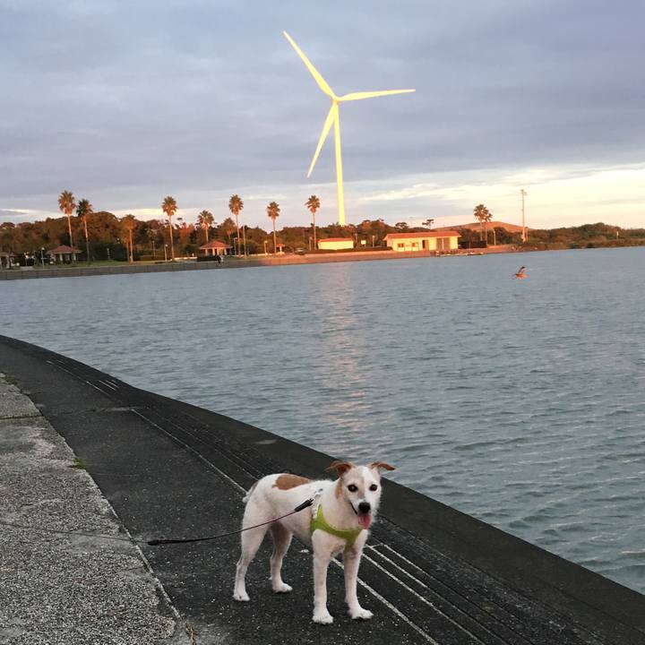 0c90bd5b 220c 4c5d b718 524f37cb82bc