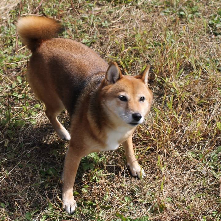 0c90d871 917d 4ad4 9082 ced9fbb72b0d