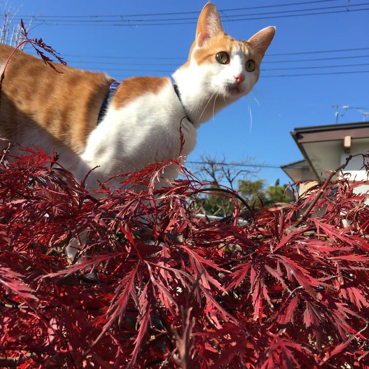 0c90ed59 3d7c 463c aaf5 c4a8c028a714