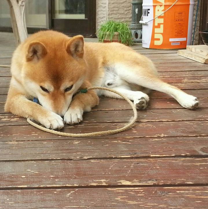 0c9125fc 236e 4f30 b48b 7336a99ce002