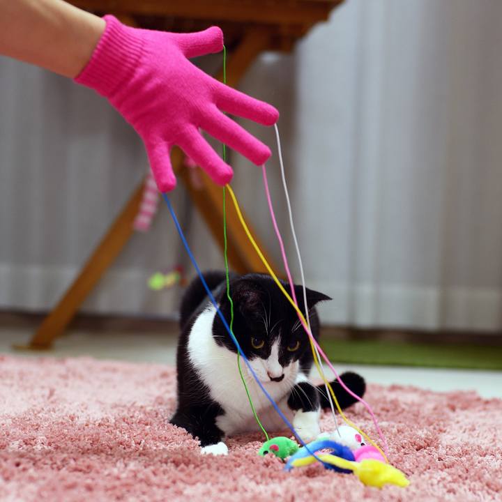 0c91a3f6 7e25 4224 afc1 eb02d43f9eca