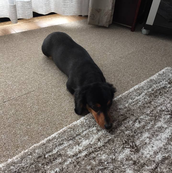 0c91e401 07d6 4015 981d fbbdbded4307