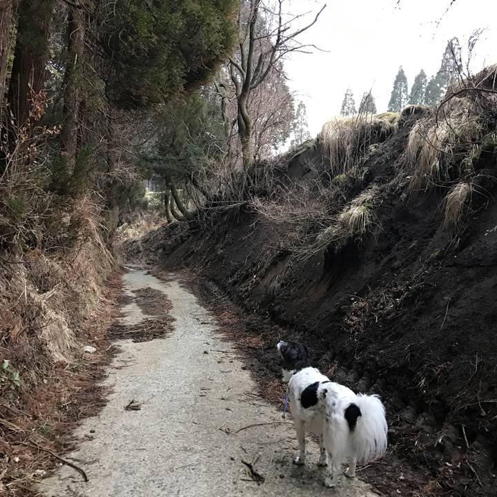 0c929332 84f3 4db1 9029 83363fff6c73