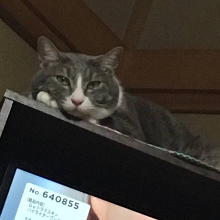 0c939845 b8a0 4ad1 8cfb b079b4485813