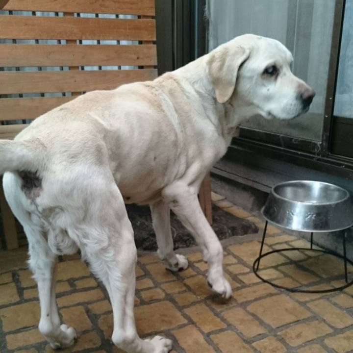 0c93a961 6b81 45bf 94a6 e60c1904bf1a