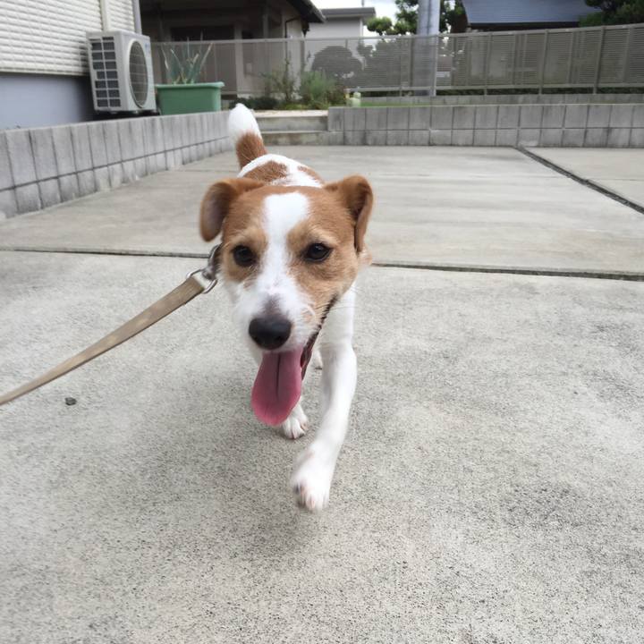 0c94cb93 c8a1 4a87 8379 2ea507fb787e