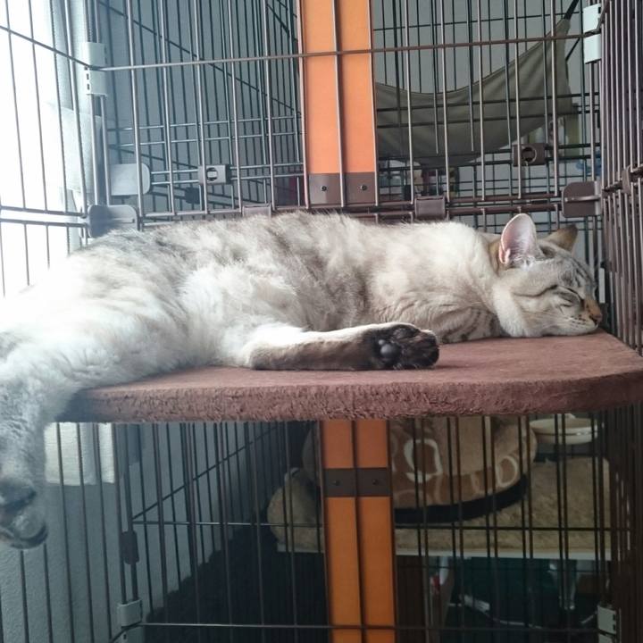 0c964c62 c976 441c be25 d2cbc092589e