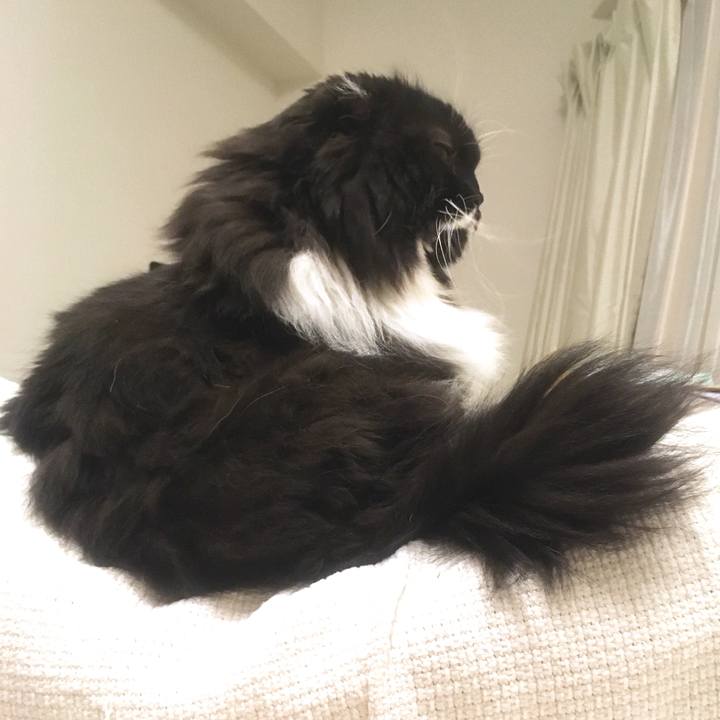 0c965838 6409 4ba8 a5bb 6a8524dbe21f