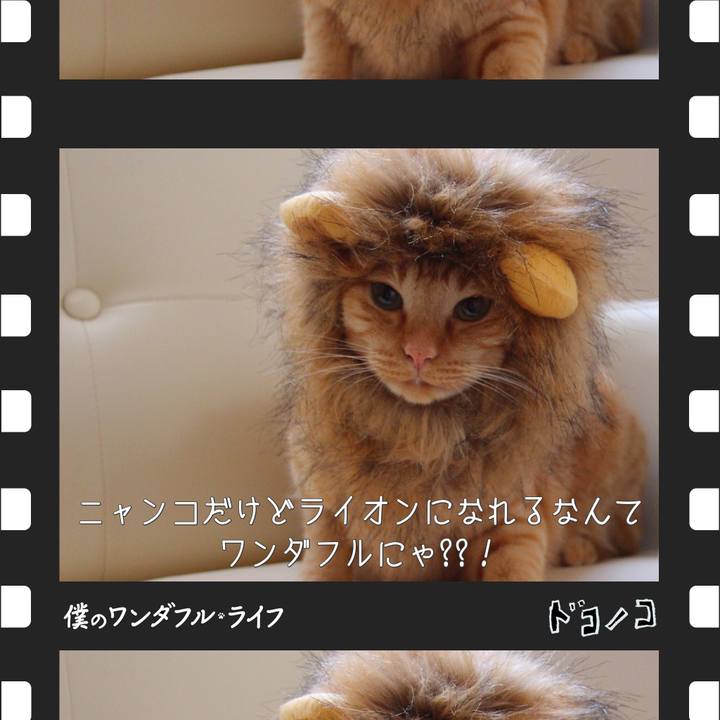 0c966313 5fa0 4ed7 8ed7 a3230a61dcf7