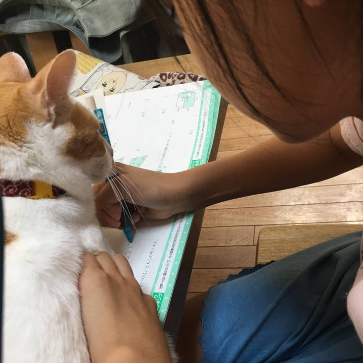 0c966554 0e1f 4ce4 a023 84704d8b8b58