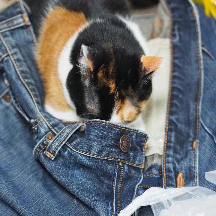 0c96b675 8069 4036 9dd7 66a6bf34c6ac