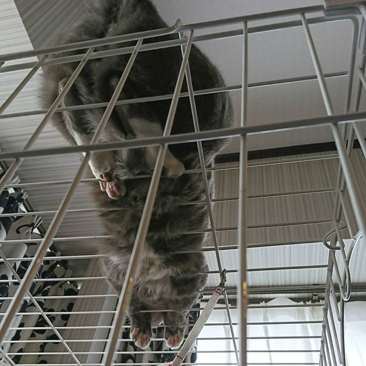 0c9708cc 19c5 4ffc b324 b118616d7716