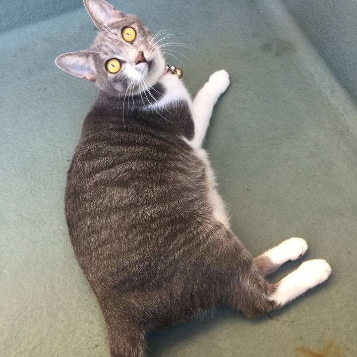 0c978e06 6a55 49fb b176 d85477b3353c